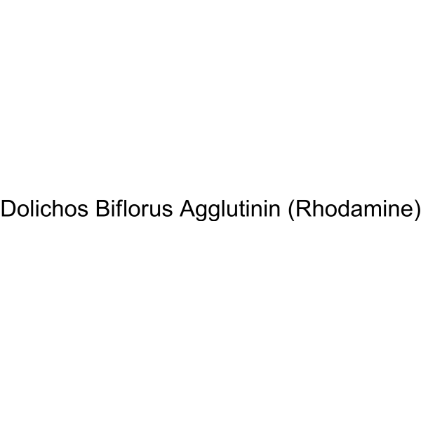 Dolichos Biflorus Agglutinin (Rhodamine)